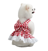 Lina-Gingham Pet Dress