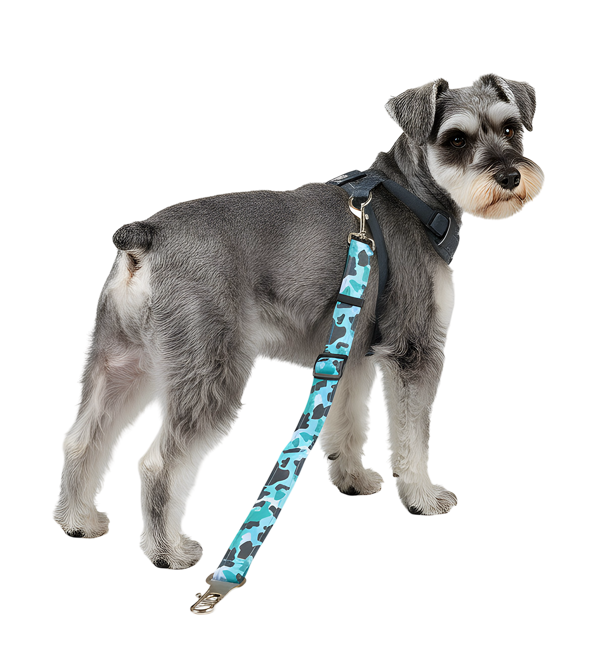 Finn-Camo Control Set