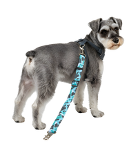 Finn-Camo Control Set