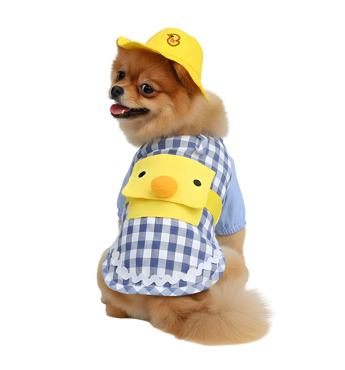Coco-Duck Outfit