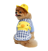 Coco-Duck Outfit