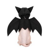 Bat Wing Pet Costume