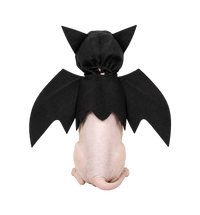 Bat Wing Pet Costume