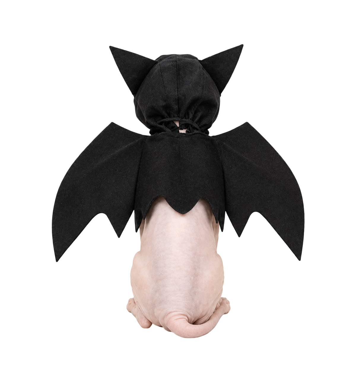 Bat Wing Pet Costume