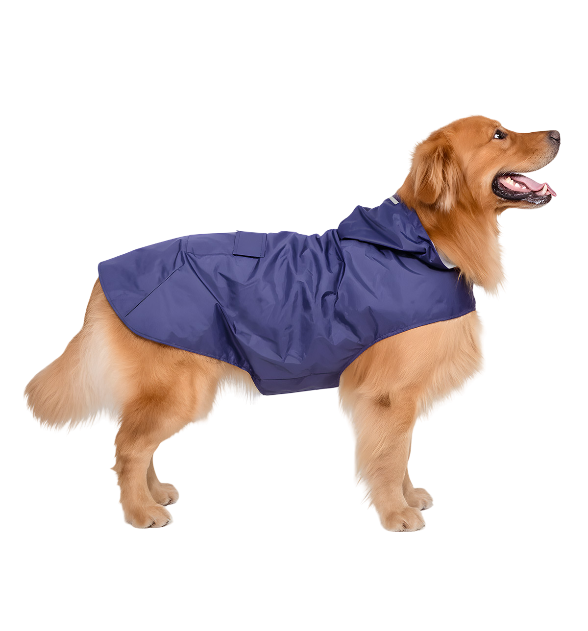 Milo-Outdoor Pet Rainwear