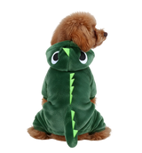 Roxy-Dino Pet Costume