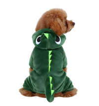 Roxy-Dino Pet Costume
