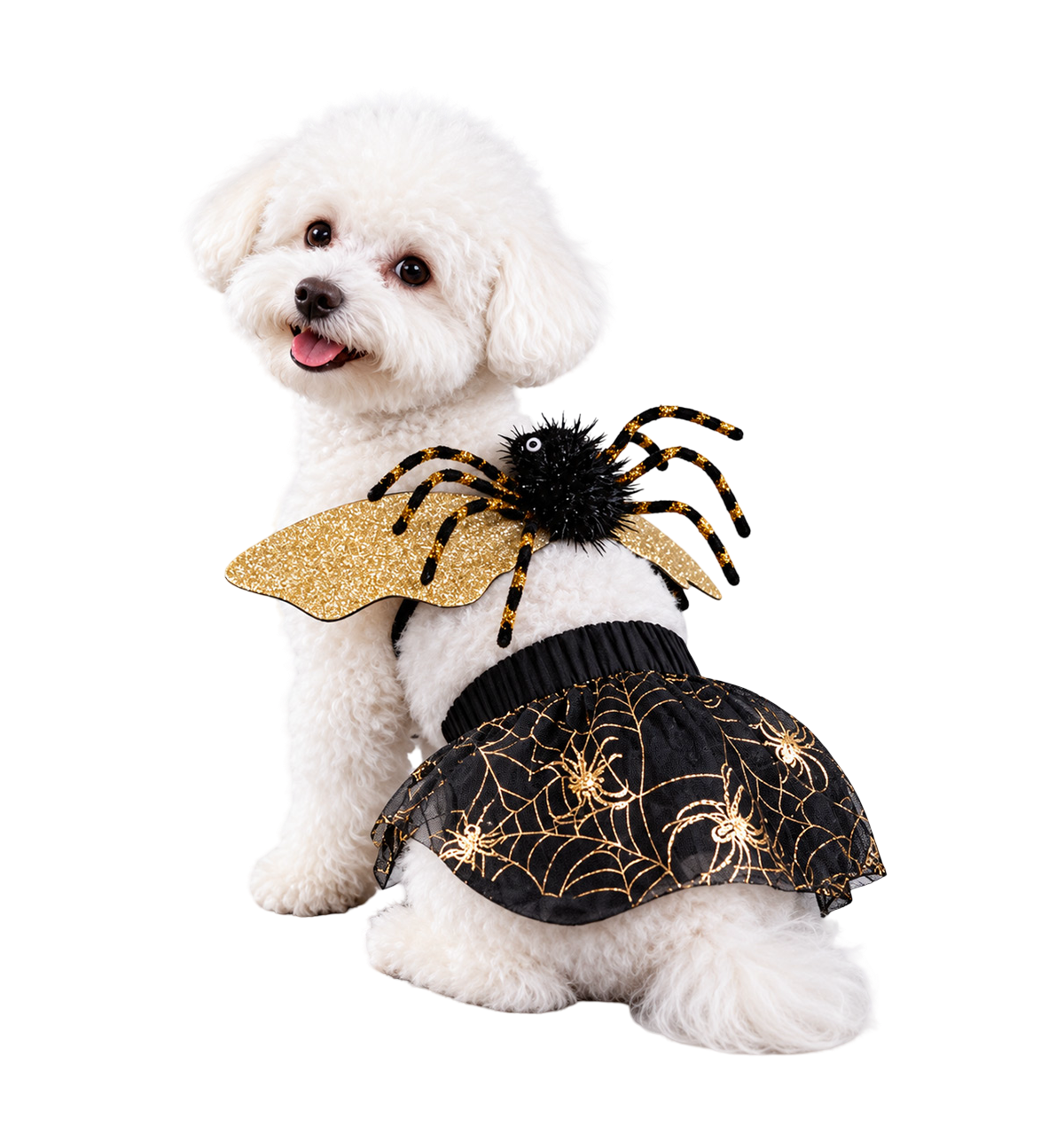 Spider Wing Pet Costume