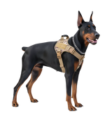 Rexo-Tactical Harness