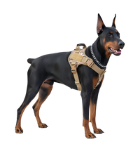 Rexo-Tactical Harness