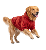 Urban Pet Hoodie