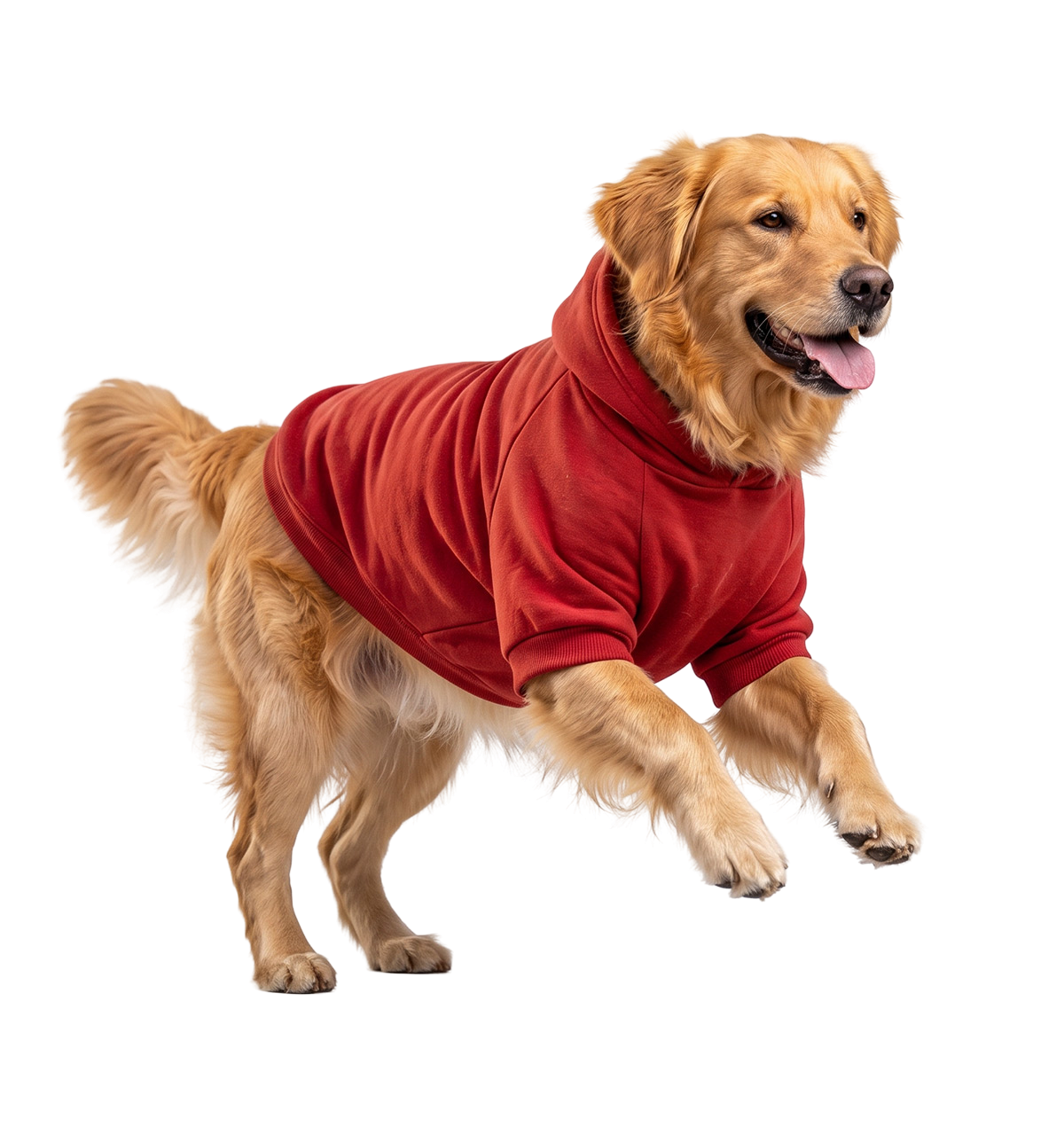 Urban Pet Hoodie