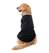 Sport Pet Tee