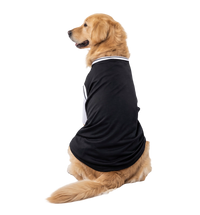 Sport Pet Tee