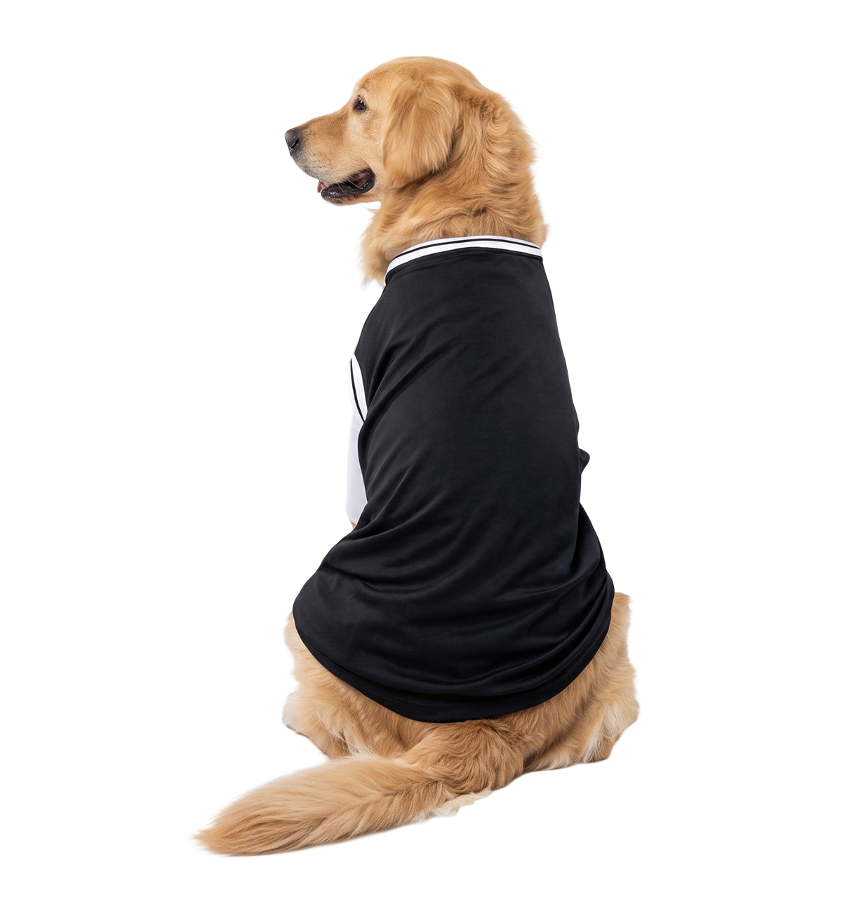 Sport Pet Tee