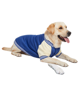Varsity Pet Jacket