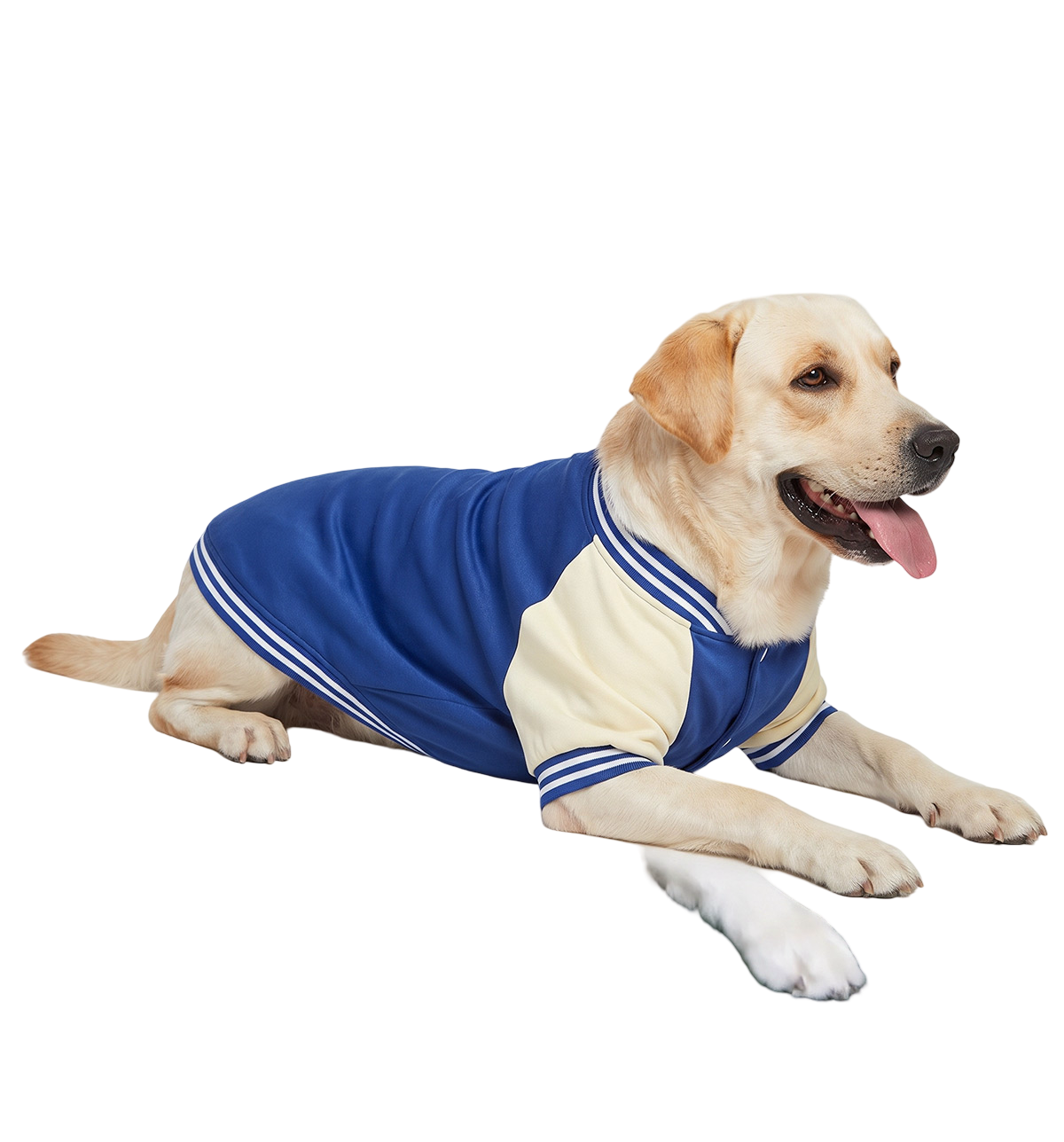 Varsity Pet Jacket