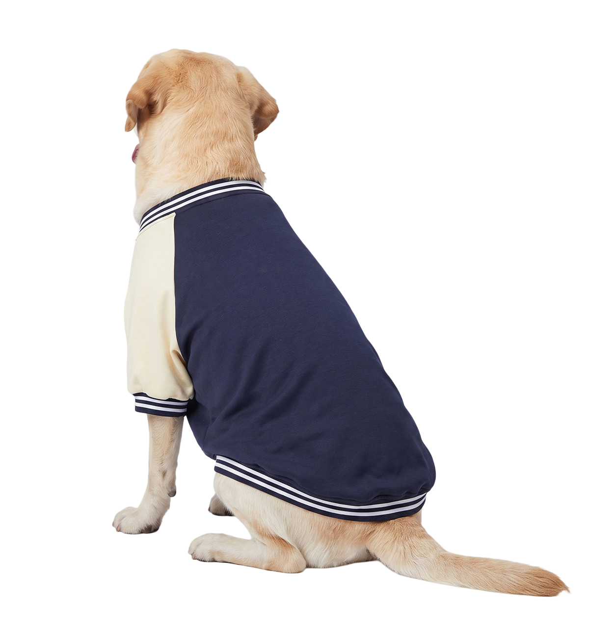 Varsity Pet Jacket