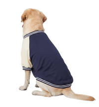 Varsity Pet Jacket