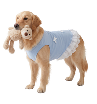 Lace Pet Dress
