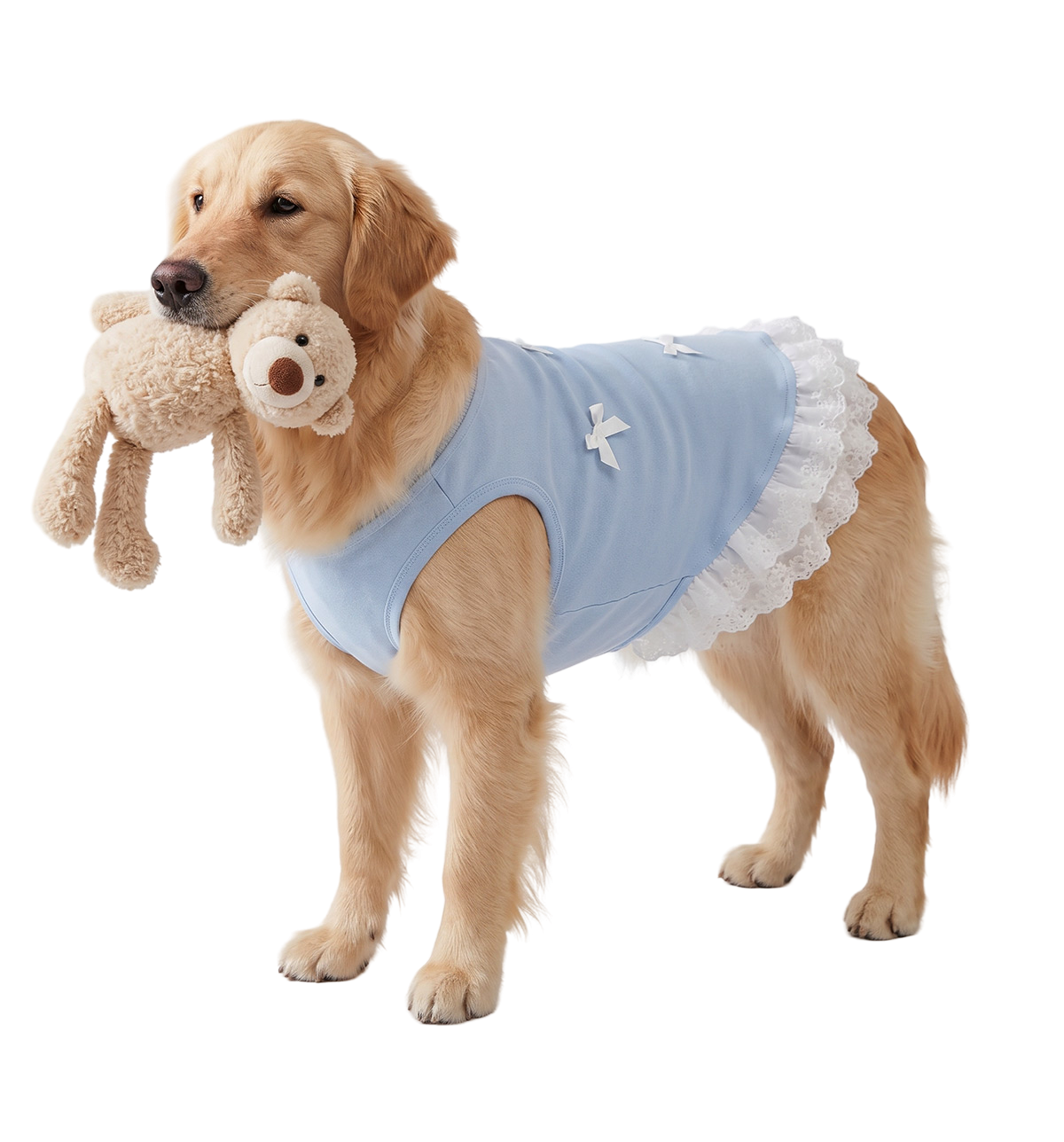 Lace Pet Dress