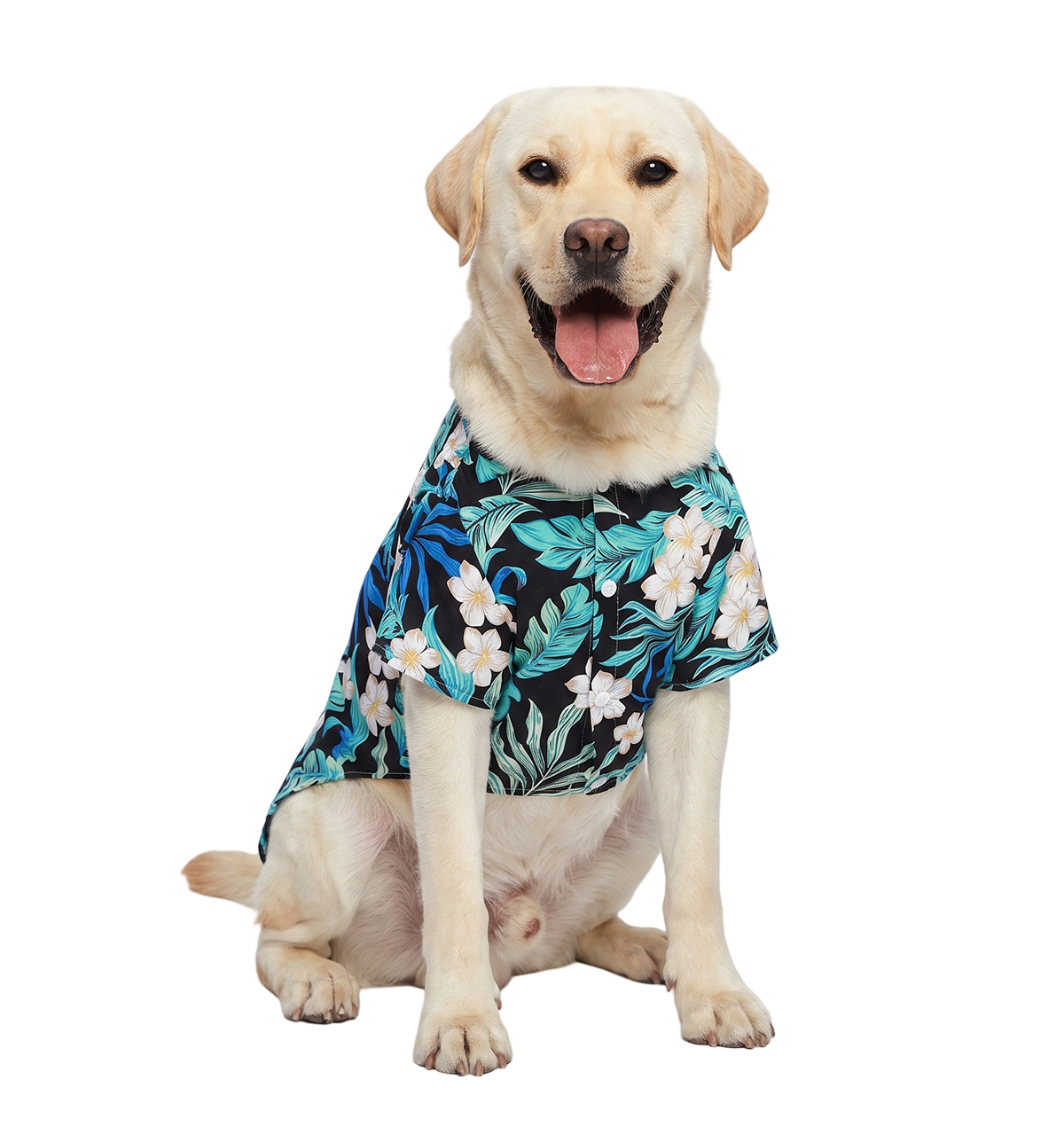 Tropical Pet Shirt