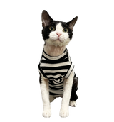 Stripe Pet Sweater