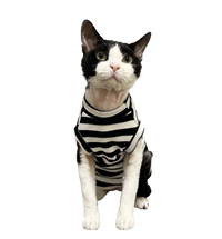 Stripe Pet Sweater