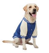 Varsity Pet Jacket