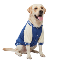 Varsity Pet Jacket