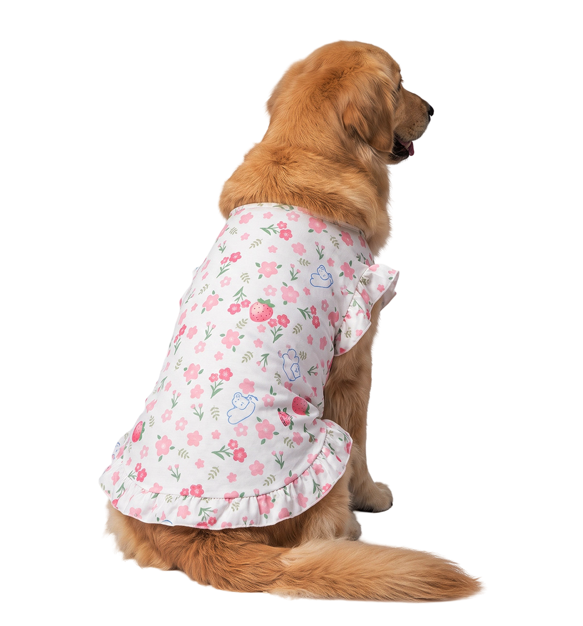 Floral Pet Dress