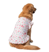 Floral Pet Dress