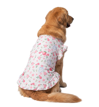 Floral Pet Dress