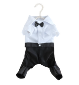 Tuxedo Cat Outfit