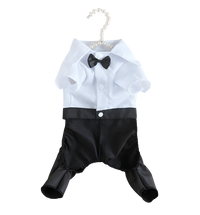 Tuxedo Cat Outfit