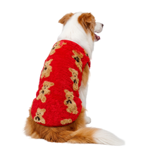Teddy Pet Vest