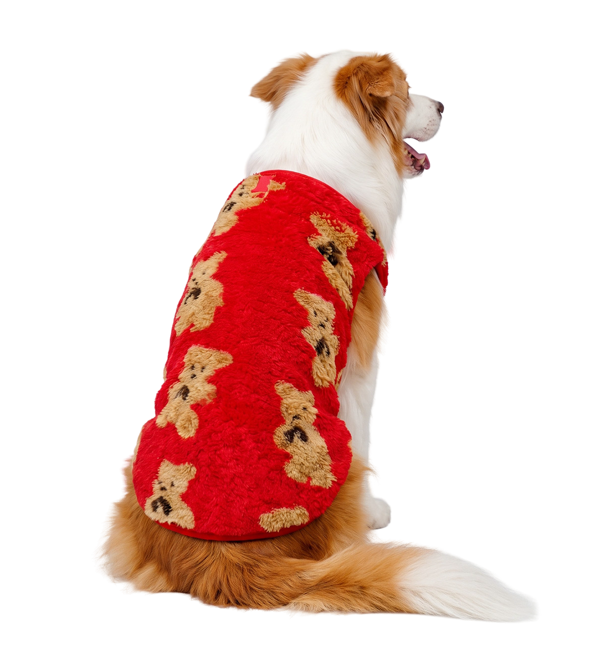Teddy Pet Vest