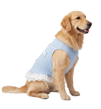 Lace Pet Dress