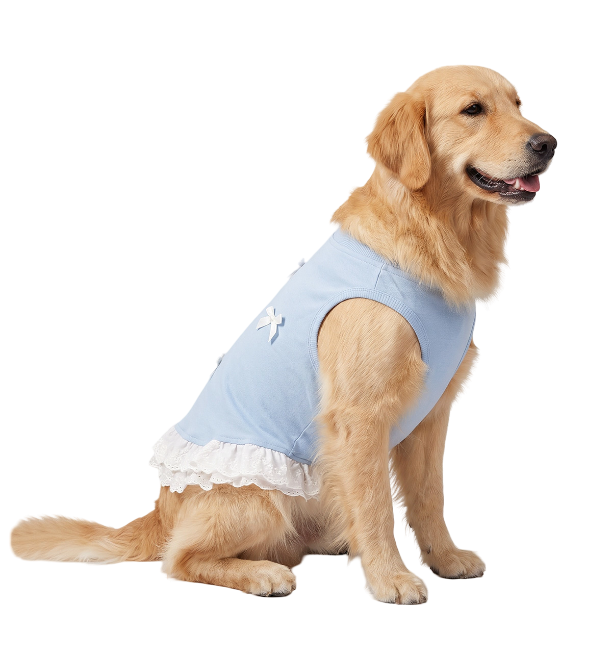 Lace Pet Dress