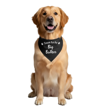 Ollie-Big Brother Scarf