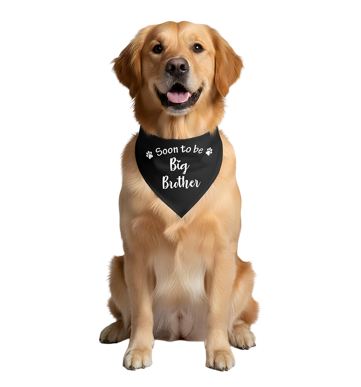 Ollie-Big Brother Scarf