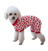 Leni-Valentine Pet Suit