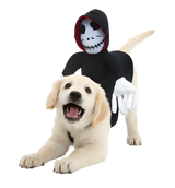 Nino-Halloween Pet Suit