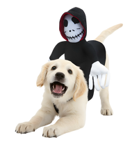 Nino-Halloween Pet Suit