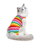 Mimi-Color Pet Shirt