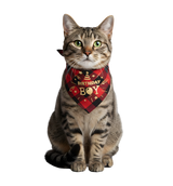 Max-Birthday Boy Scarf