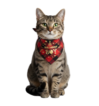 Max-Birthday Boy Scarf