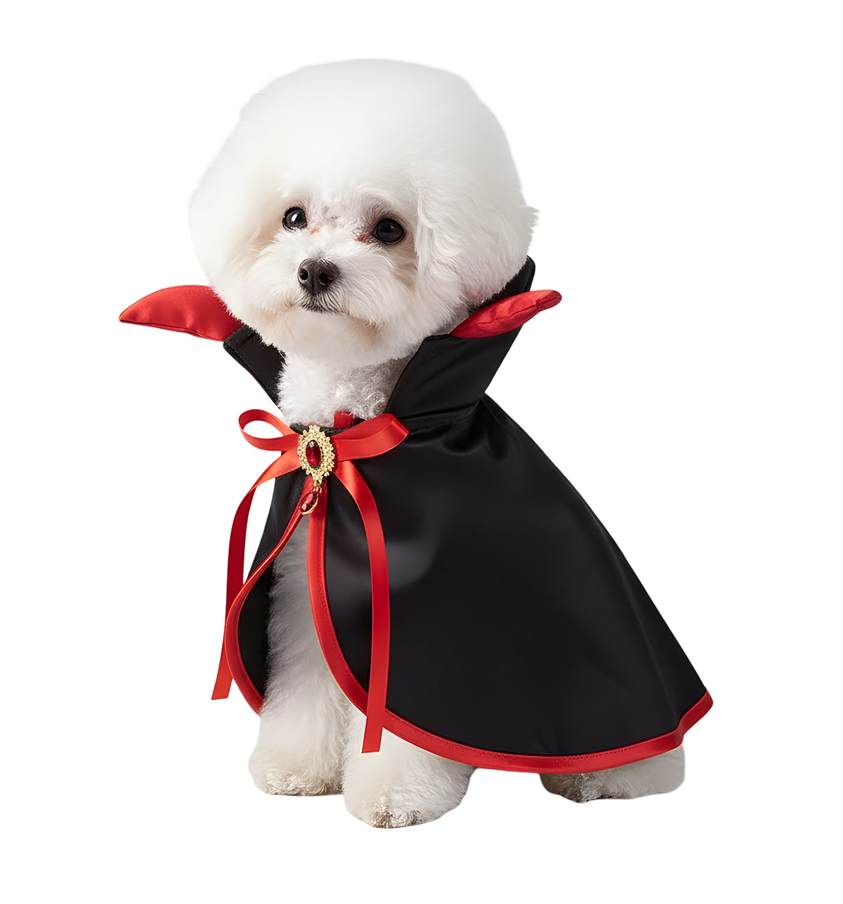 Vera-Vampire Pet Cape