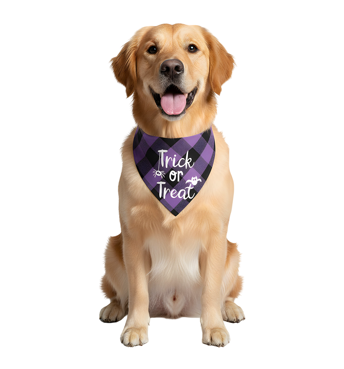 Milo-Halloween Scarf