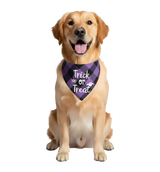 Milo-Halloween Scarf